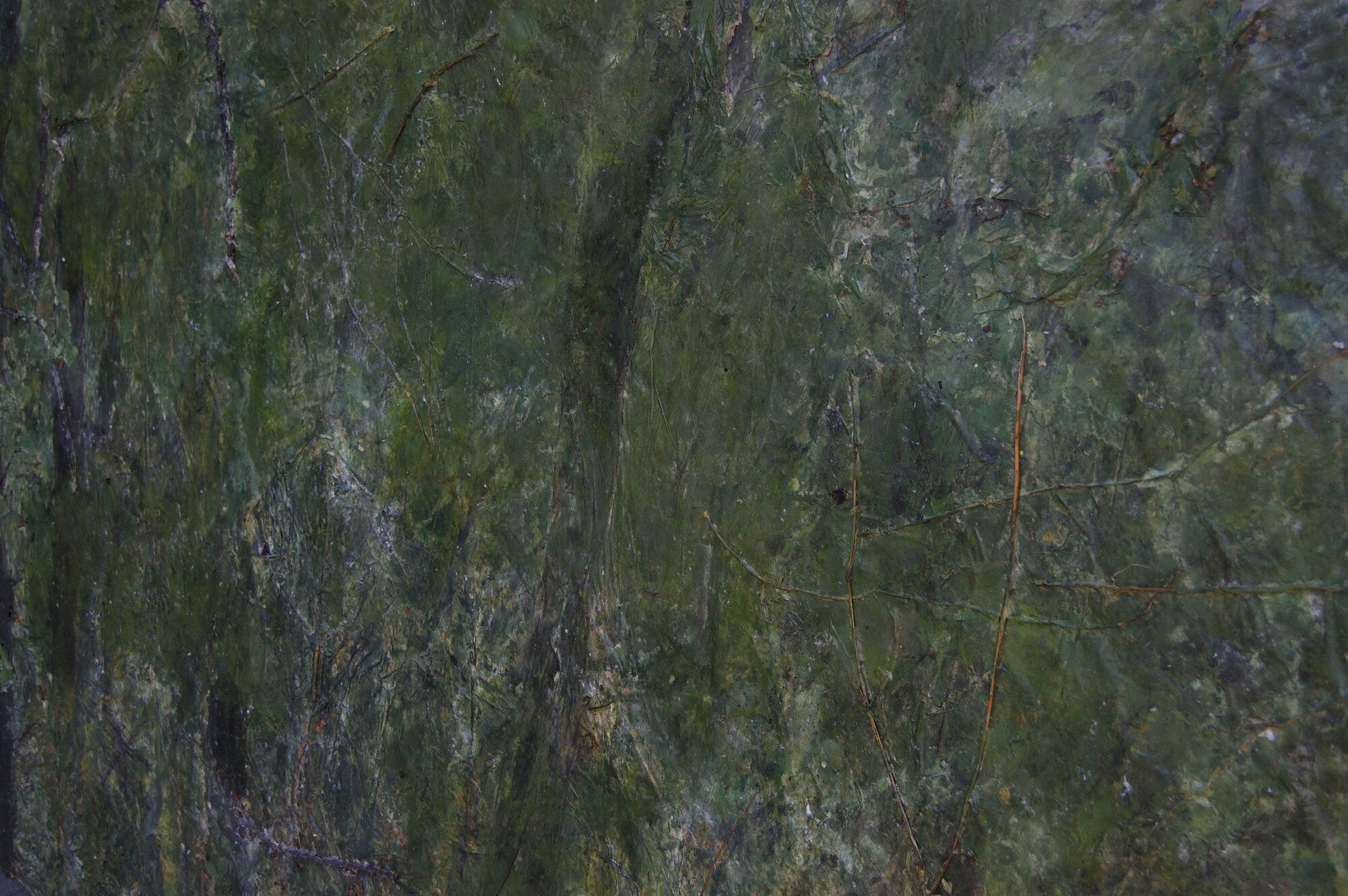 Detailansicht: Malerei, 220 x 160 cm, Papier, Pflanzen, Öl, Acryl, Gouache auf Leinwand